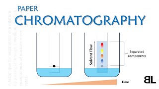 What is Chromatography  Paper Chromatography  GCSE Chemistry Lecture [upl. by Ummersen366]