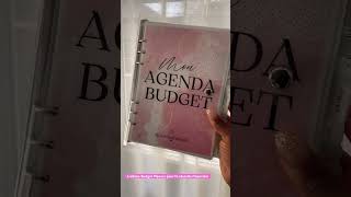 Budget Planner 📑 systemedesenveloppes enveloppesbudgétaires budget [upl. by Euqinim]