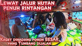 BERMALAM DIMOBIL DENGAN KABUT YANG TEBAL DI DAERAH PENGHUJAN [upl. by Samau913]