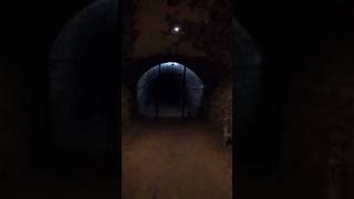 Exploring a 1873 brewery cellar history abandoned newvideo australia [upl. by Nosmas639]