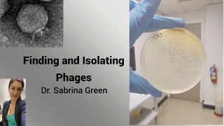 Finding and Isolating Phages [upl. by Figueroa625]