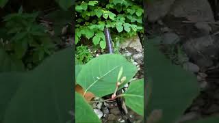 COPPER MAGNET FISHING Nice Find in Newtown Creek in Elmira New York Pruyne Prine Time [upl. by Enyad]