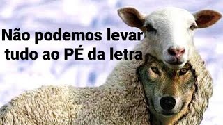 Não podemos levar tudo ao PÉ da letra [upl. by Anwadal900]