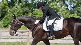 Tips and Tricks Riding Intro and Training Level Dressage Tests [upl. by Denman428]