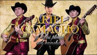 Ariel Camacho y Los Plebes del Rancho Mix [upl. by Laehpar]