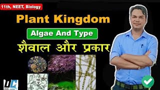 11 BIOLOGY CH 3 PLANT KINGDOM TYPE OF ALGAE शैवाल का वर्गीकरण om sir [upl. by Armillda514]