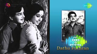 Dathuputhran 1972 All Songs Jukebox  Sathyan Prem Nazir  Old Malayalam Film Songs [upl. by Joseito]