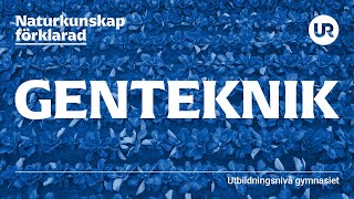 Genteknik förklarad  BIOLOGI  Gymnasienivå [upl. by Aihsinat525]