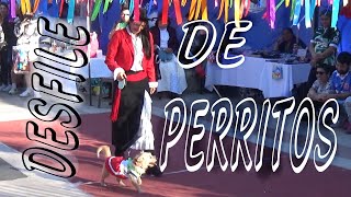 DESFILE DE PERRITOS [upl. by Samuele]