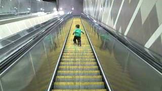 Escalators [upl. by Hurd]