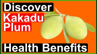 Unlocking the Ultimate Health Secret Kakadu Plum Benefits Revealed [upl. by Akerehs747]