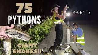 Hunting Pythons for 40 Nights in a row part 3 [upl. by Mina]