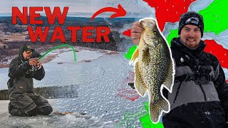 How to Dissect NEW Water to Catch BIG Crappies EXPOSE THE ICE [upl. by Yrrac]