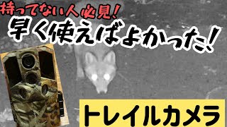 【狩猟】トレイルカメラの使用感ってこんな感じ [upl. by Fugazy]