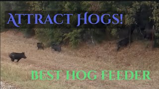 How to Attract Hogs to Your Property Best Hog Log Feeder [upl. by Eisen]