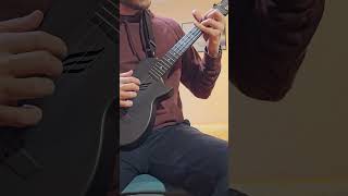 Johannes Brahms  Hungarian Dance No 5  Ukulele Fingerstyle [upl. by Aicilas]