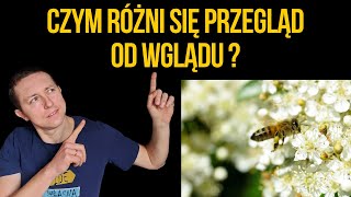 Czym różni się wgląd od przeglądu rodziny pszczelej [upl. by Brick]