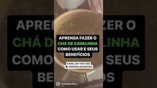 Aprenda fazer o CHÁ DE CAVALINHA  Como usar e seus benefícios [upl. by Etnaed782]