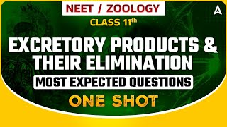 EXCRETORY PRODUCTS amp THEIR ELIMINATION ONE SHOT  BIOLOGY MOST EXPECTED QUESTIONS FOR NEET SANKALP [upl. by Merci584]