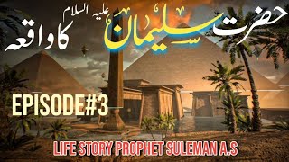 Hazrat Suleman AS Ka Waqia In Urdu Episode 3 Life Of Prophet Suleman AS  MS Stories [upl. by Wimsatt]