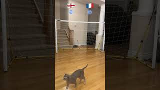 Cat Goalie  England🏴󠁧󠁢󠁥󠁮󠁧󠁿 vs France🇫🇷  2022 FIFA Quarter Finals [upl. by Ariad]