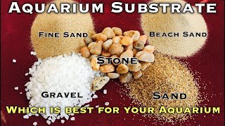 Which Substrate best for your Aquarium  Tamil [upl. by Frederique]