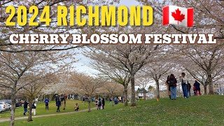 🇨🇦 2024 Richmond Cherry Blossom Festival  Garry Point Park  Richmond BC Canada April 7 [upl. by Abraham468]