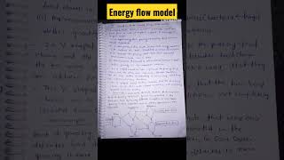 Energy flow model ☀️ in ecosystem and its type notes short study ecology energyflow [upl. by Jammie3]