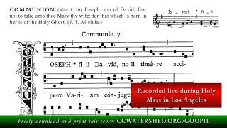 COMMUNION • “Joseph Fili David Noli Timere” — Saint Joseph 19 March [upl. by Rammus]