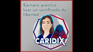 Ejemplo practico de como leer un certificado de tradición y libertad [upl. by Nellaf]