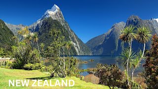 Unforgettable New Zealand Adventures Awaits travel viralvideo vlog [upl. by Yezdnil]