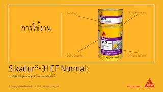 Sikadur 31 CF Normal การใช้งาน [upl. by Osgood503]