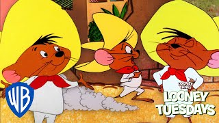 Looney Tuesdays  Best of Speedy Gonzales  Looney Tunes  WB Kids [upl. by Kettie]