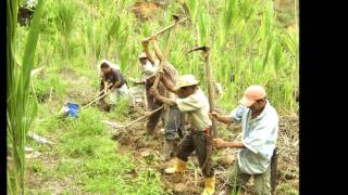 El judio errante  Oscar Humberto Gómez Gómez  El campesino embejucao [upl. by Nwahsat195]