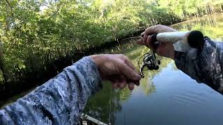 Catching BreamShellcrackers on Weedless Bream Hooks [upl. by Riek]