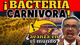 ¡BACTERIA MORTAL AVANZA EN EL MUNDO JAPÓN ENCIENDE ALERTA SANITARIA [upl. by Eanod]