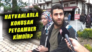 Hayvanlarla Konuşan Peygamber Kimdir [upl. by Ahsiemaj185]