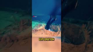 Divers Shocking Deep Sea Discovery👀 [upl. by Amehsyt]