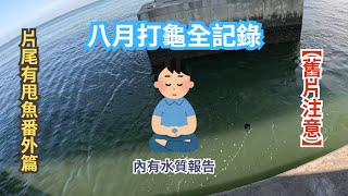 香港磯釣  又龜一個月  艱辛之夏磯！ 202408 機場 磯釣 釣魚 紀州釣り港珠澳磯竿香港釣魚釣魚釣り [upl. by Eiramlatsyrk]