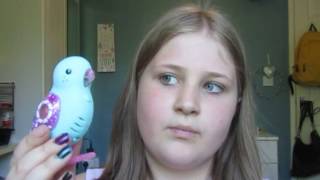 little live pets lolly polly bird how to work part 3 [upl. by Edward620]