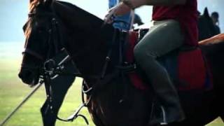 Polo Bridles and Bits [upl. by Lalita]