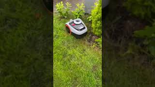 Segway Navimow so Smart [upl. by Egon968]