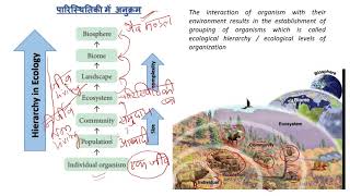 Ecology introduction and basic concepts Class 1Ecology definition Autecology synecology [upl. by Birk]