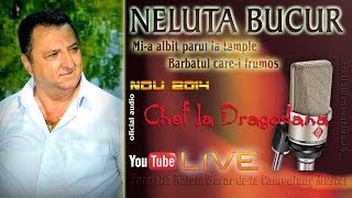 NELUTA BUCUR  Mia albit parul la tample  Barbatul carei frumos live audio [upl. by Eelah]