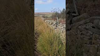 Darwen Moor travel punkatit lancashire darwen darwenmoor nature moor [upl. by Barny223]