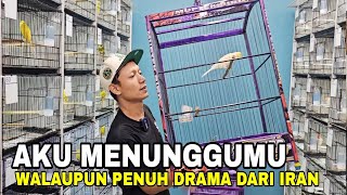 AKHIRNYA 300 RASMI MENDARAT JUGAWALOPUN SEMPAT KELILING DUNIA DULU [upl. by Ameen54]