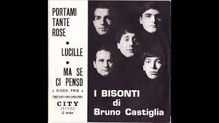 I Bisonti di Bruno Castiglia  Ma se ci penso [upl. by Llenoj61]