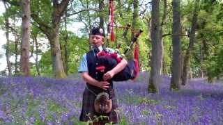 Young Scots Bagpiper Bluebell Woods Perthshire Scotland [upl. by Carrnan]