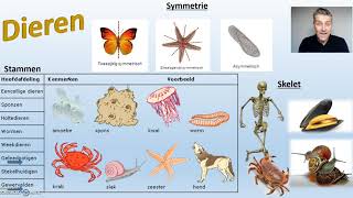 Ordening biologie  3 van 3 Biodam  Planten en dieren [upl. by Ardnala]