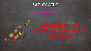 SVT FACILE  1ère spé  Réplication de lADN et variabilité génétique [upl. by Jillana]